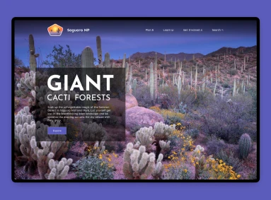 saguaro national park custom website design example